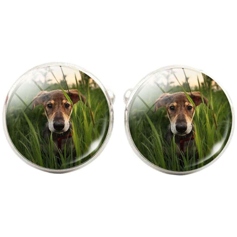Bassin and Brown Dog in the Long Grass Cufflinks – Green/Brown