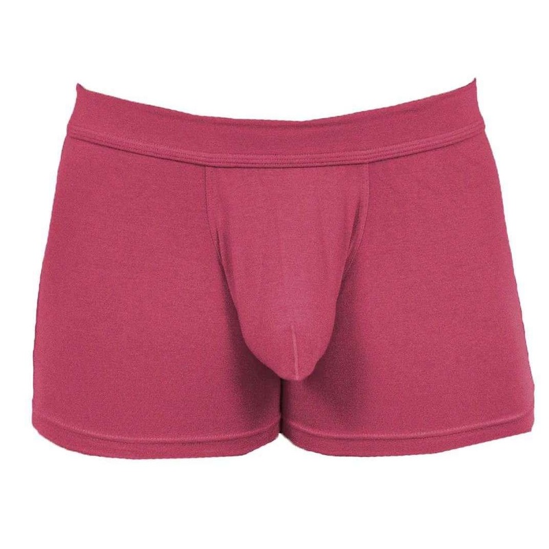 Obviously EliteMan Boxer Brief 3inch Leg – Brick Red