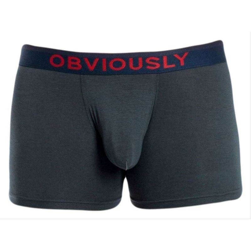 Obviously FreeMan AnatoFREE Boxer Brief 3inch Leg – Ash Grey
